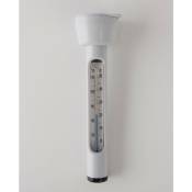 Intex - Thermometre de piscine Blanc