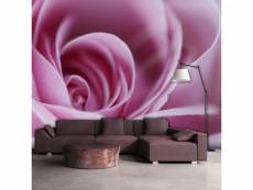 Papier peint rose rose l 200 x h 154 cm A1-LFTNT1373