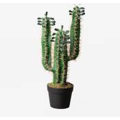 Sklum - Cactus artificiel Pachycereus 60 cm ↑60 cm