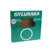 Sylvania - tl circline fc22w/840 cool white - 01961