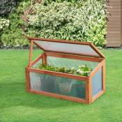 Greenhouse robuste en polycarbonate et en pin bois