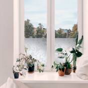Transform - Film vitrostatique pour vitre Décoratif Feuillage Nature opaque 150 x 90cm Blanc - Blanc