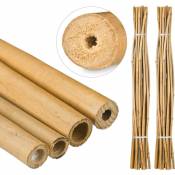 50x Tiges en bambou 150 cm, en bambou naturel, bâtons