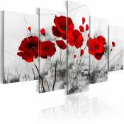 Artgeist - Tableau coquelicots rouges miracle - 100