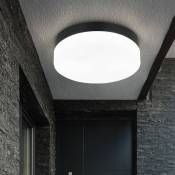 Plafonnier lampe de jardin lampe d'extérieur plafonnier lampe de salle de bain, aluminium verre opale noir, 2 ampoules, protection contre les