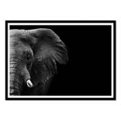 Affiche 50x70 cm et cadre noir - Elephant face - 1x