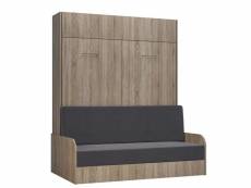 Armoire lit escamotable dynamo sofa accoudoirs structure chêne canapé gris couchage 160*200 20100994487