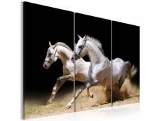 Paris prix - tableau imprimé "chevaux force & dynamique" 80 x 120 cm