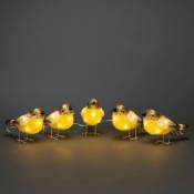 5 oiseaux acrylique 40 LED
