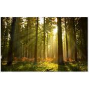 Hxadeco - Tableau Rayons lumineux en forêt - 80x50cm