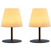 Lumisky - Lot de 2 lampes de table sans fil led twins