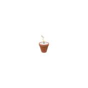 Alampat Distribuciones,s.l. - Alampat 303���lampe de jardin, 17�cm, C�ramique, couleur terre cuite