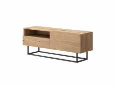 Kyle - meuble tv 1 porte - bois et métal noir - 120 cm - style industriel - bestmobilier - bois