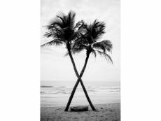 Tableau sur verre synthétique palmiers noir et blanc