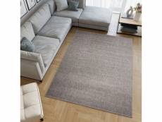 Tapiso tapis salon chambre bouclé nizza argenté uni moderne moucheté 250x350 1800 SILVER 2,50*3,50 NIZZA