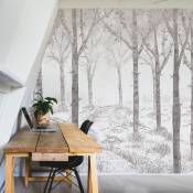 Papier peint panoramique paysage forêt de bouleau gris 300x250cm