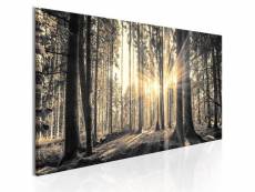 Tableau sur toile décoration murale image imprimée cadre en bois à suspendre rayon de soleil 150x50 cm 11_0006237