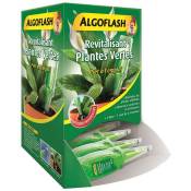 Distributeur Monodose Revitalisante Plantes Vertes & Plantes Fleuries 30 mL - 40 doses