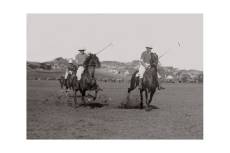 Photo ancienne noir et blanc cheval n°13 cadre noir 30x45cm