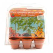 Radis Et Capucine - Serre de jardinage enfant : tomates bio à faire pousser