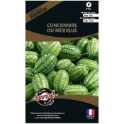 Sanrival Premium - Graines potagères premium Concombre Du Mexique