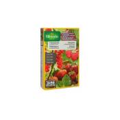 Vilmorin - Engrais granul de 800g granuls pour fraises
