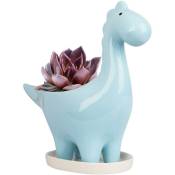 Ersandy - Pot de Céramique Succulente avec Soucoupe, Pot de Fleur Cactus Forme de Dinosaure, Mini Intérieur Pot de Plante Cadeau Décoration pour