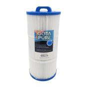 Gota Pure - Filtre piscine compatible Weltico C3 / 62613 / WELC3