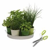 Kit herbes aromatiques en cuisine. Vert. Marque : Prêt À Jardiner Réf. : L2-0002 - Vert