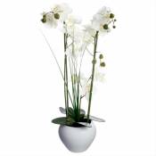 Orchidée Artificielle avec Vase en Céramique H53cm - Blanc - - Blanc|Noir