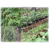 Réseau Ortofrutta dans le polypropylène de jardinage anti-UV également pour l'escalade des légumes rouleaux 30 mètres Sustaineur 170 cm