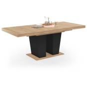 Table à manger extensible rectangle eliad 6-10 personnes bois et noir 160-200 cm - Multicolore