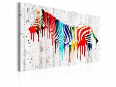 Tableau sur toile décoration murale image imprimée cadre en bois à suspendre zèbre coloré 90x60 cm 11_0003175