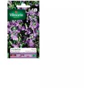 Vilmorin - Sachet graines Violette 4 saisons odorante
