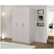 Dmora - Armoire à 2 portes battantes, blanc mat, avec tringle à vêtements, Dimensions 91 x 202 x 53 cm, avec emballage renforcé