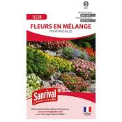 Sanrival - Mélange Graines de Fleurs pour Rocaille
