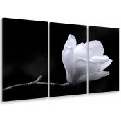 Tableau triptyque deco perfection florale - 90x60 cm