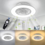 Ventilateurs de Plafond avec Lampe Intégrée Telecommande et Lumière Gradable Moderne Ventilateur Silencieux avec led Lumières pour Éclairage Salon