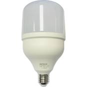 Electro Dh - Ampoule led E27 30w Lumière du jour 6500k