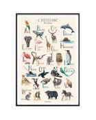 Affiche animaux - Abécédaire des animaux 40 x 60 cm