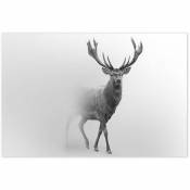 Hxa Deco - Affiche Cerf dans le brouillard - 60x40cm