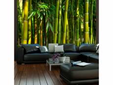 Papier peint forêt de bambous asiatique A1-4XLFTNT0090