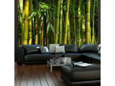 Paris prix - papier peint "forêt de bambous asiatique" 154 x 200 cm