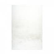 Tapis salon 200x290 cm blanc