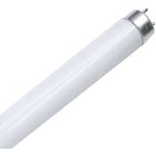 7hsevenon - Tube fluorescent T8 G13 1500mm 58W 2600lm 6400K Blanc