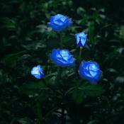 Bleu)Éclairage solaire en forme de fleurs pour décoration de jardin