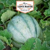 La Ferme Sainte Marthe - Melon ancien Vieille France