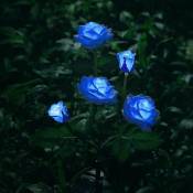 Linghhang - bleu)Éclairage solaire en forme de fleurs