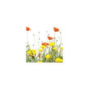 Micasia - Image de fenêtre Fleurs sauvages - Dimension: 21cm x 21cm