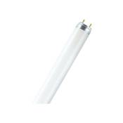 Osram - tube fluorescent lumilux t8 - 30 watts - g13
